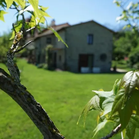 Castagna Dulcis Nocleg ze śniadaniem