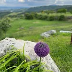 Castagna Dulcis Abbadia San Salvator