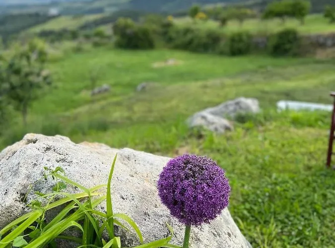 Castagna Dulcis Abbadia San Salvatore