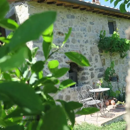 Castagna Dulcis Аббадиа Сан Сальваторе