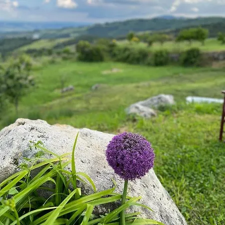 Castagna Dulcis Аббадиа Сан Сальваторе